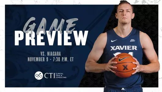 Niagara game graphic