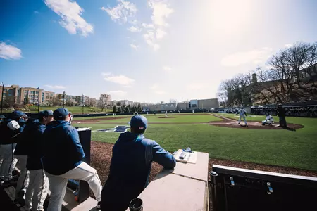 Hayden Field