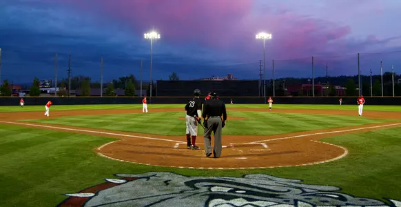bsb field
