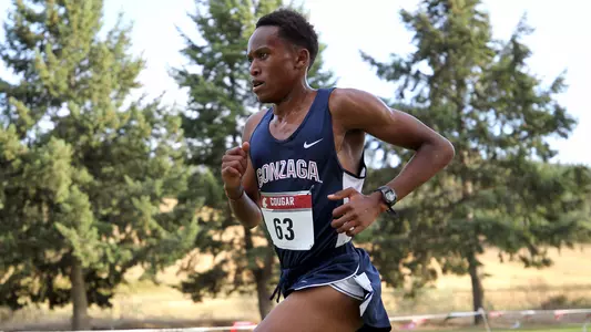 Mwaura Colfax