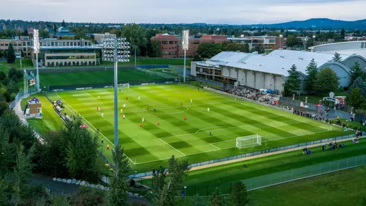 Luger Field Drone