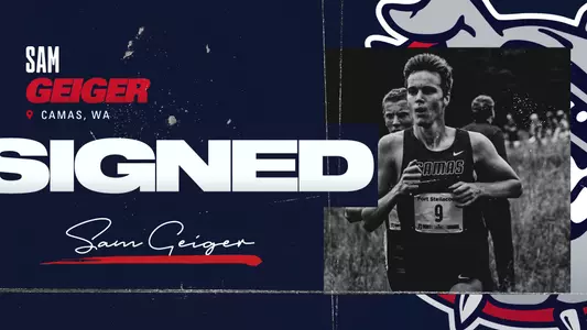 Geiger NLI