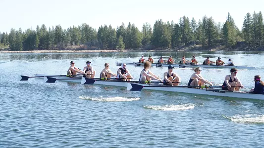 JV8