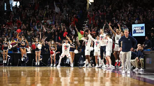bench reaction memphis