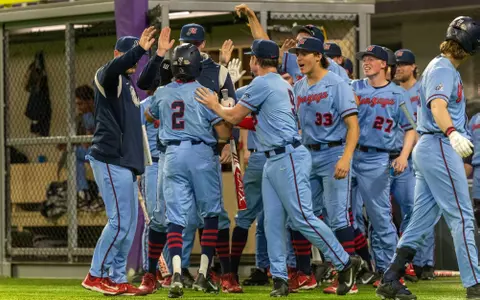 team celebration minnesota