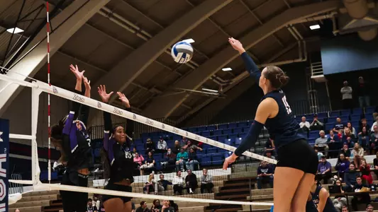 maggie rickert portland 2024