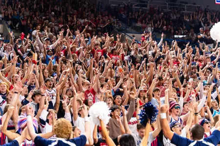 kennel crowd