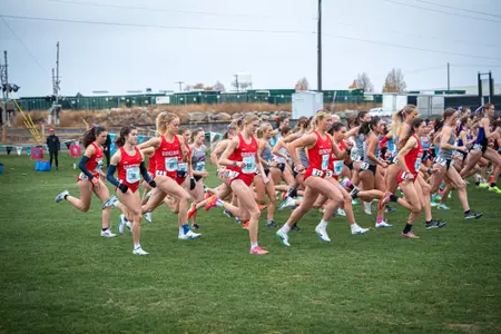 XC WCC