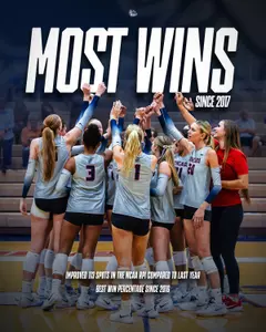 Volleyball Graphic