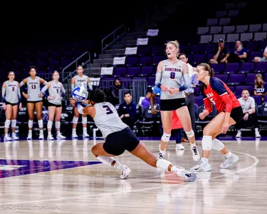 VB UTRGV