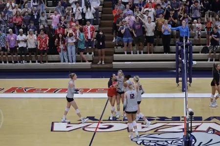 VB Crowd