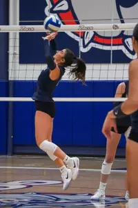 VB Montana State