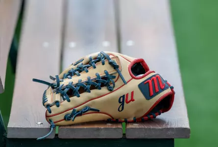 Glove