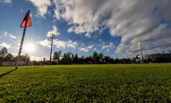 Luger Field sun