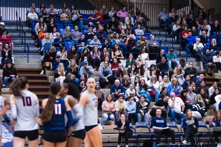 Volleyball Crowd