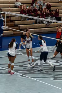 Volleyball Win