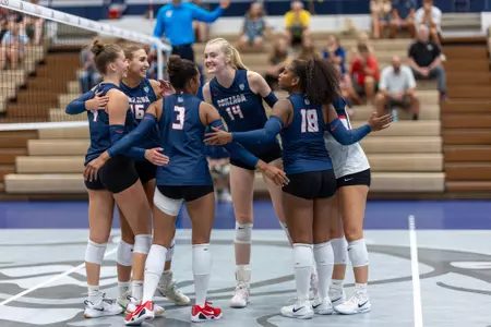 Volleyball