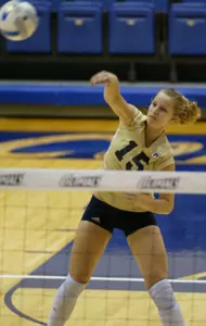 Janine Brown hit an errorless .500 with a match-high 20 kills Friday night.