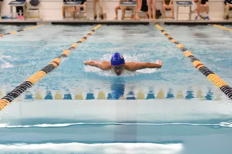 Swimming and Diving Action Shot