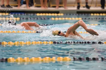 Swimming and Diving Action Shot