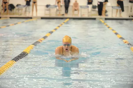 Swimming and Diving Action Shot