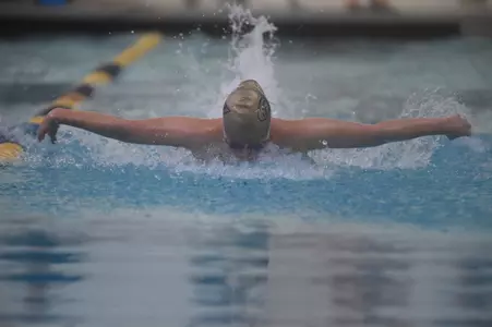 Swimming and Diving Action Shot