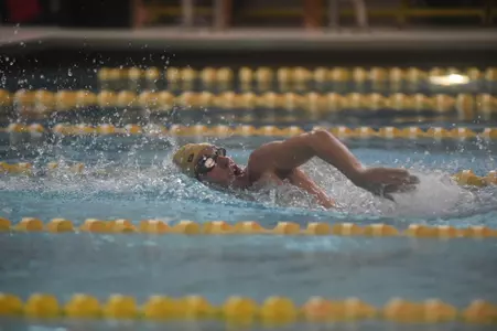 Swimming and Diving Action Shot