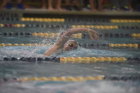 Swimming and Diving Action Shot