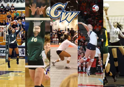 Volleyball Incoming Class