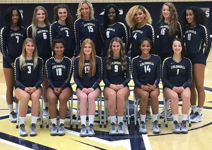 Women's volleyball team photo