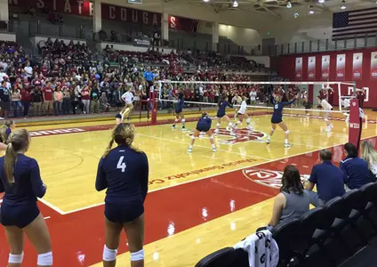 Volleyball Action Photo