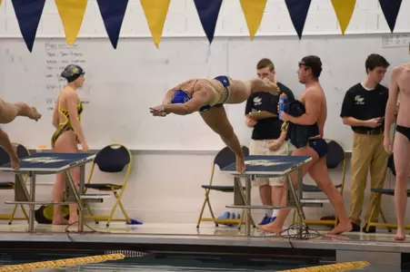 Women's Swimming and Diving jumping into the pool