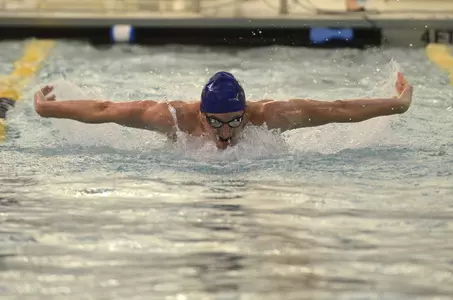 Swimming and Diving Action Shot