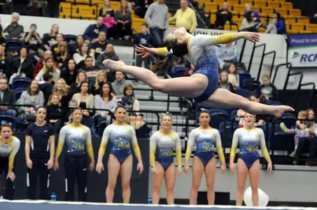 Gymnastics Action Shot