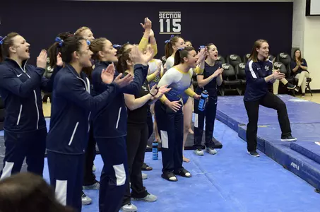 Gymnastics Action Shot