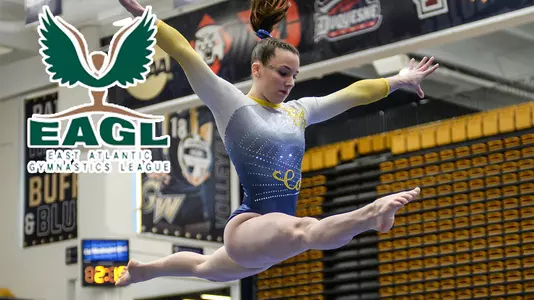 Gymnastics Action Shot