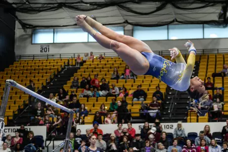 Gymnastics Action Shot