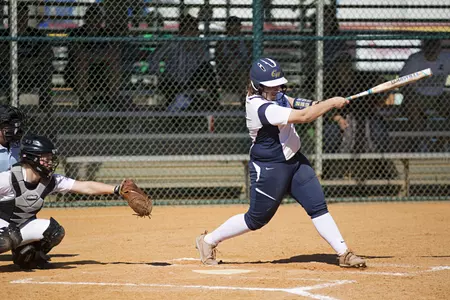 <i>Elena Shelepak</i>