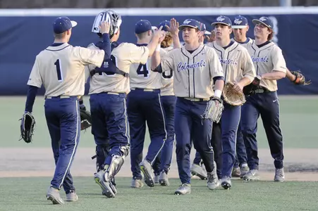 Baseball Action Shot