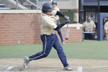 Baseball Action Shot