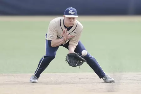 Baseball Action Shot