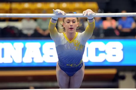 Gymnastics Action Shot