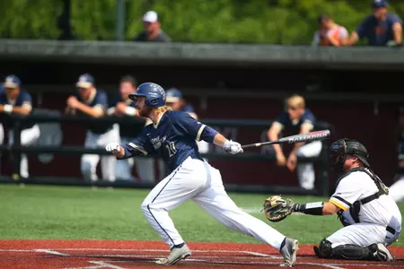 Baseball Action shot
