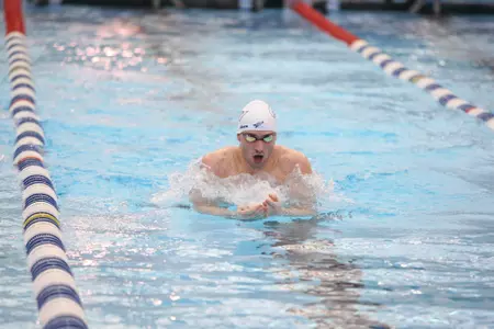 Swimming and Diving Action Shot