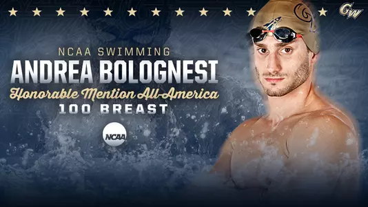 ANDREA BOLOGNEST Graphic