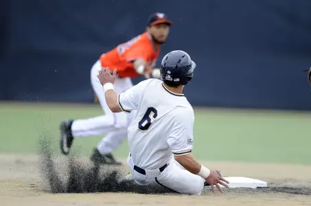 Baseball Action Shot