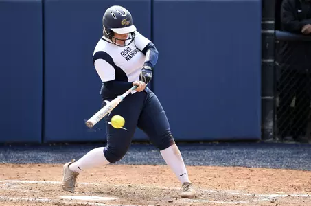 <i>Elena Shelepak</i>