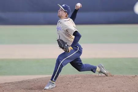 Baseball Action Shot
