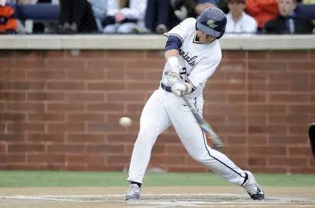 Baseball Action Shot