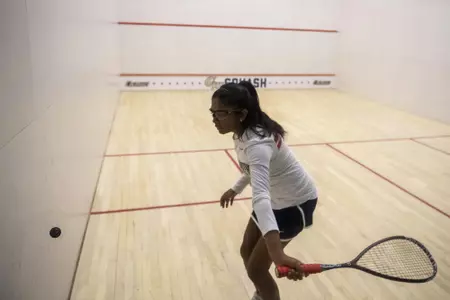 vedika